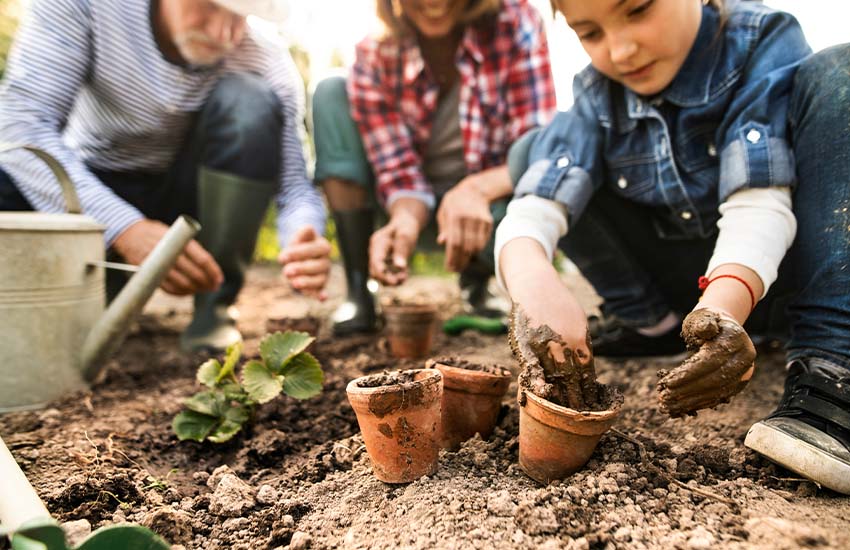 Try gardening